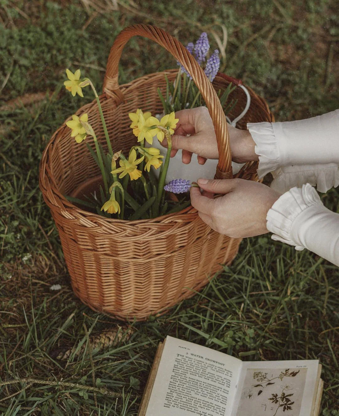 Jo March 31 | Accordion Pleated Linen Shirt - Image 6